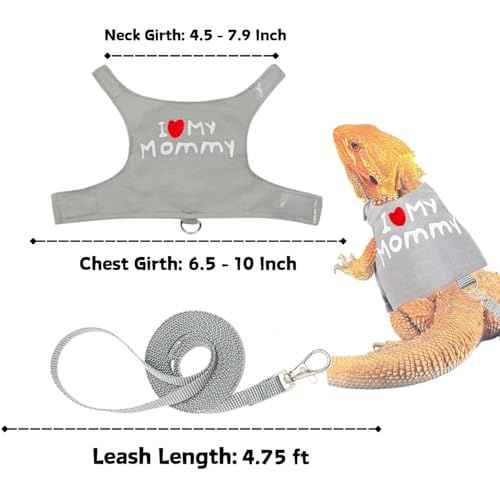 Small Animal Travel Backpack Carrier (Grey)