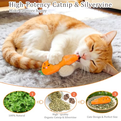 Catnip Cat Toys 5 Pack Vegetable Plush for Indoor Cats (Vegetables Catnip toys 5 Pack)