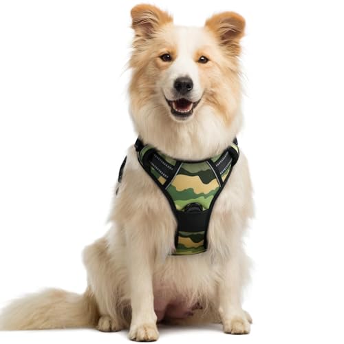 Dog Harness No Pull Medium Sized with 2 Leash Clips (Medium / Green Mountain)
