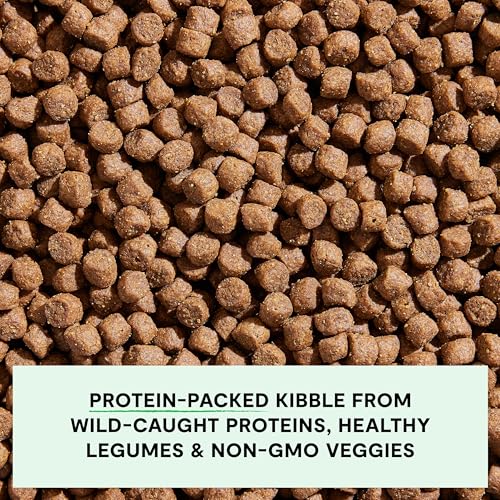 Grain Free Dry Dog Food (11 Pound (Pack of 1))