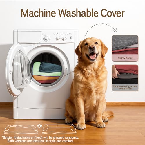 Orthopedic XL Dog Bed for Large and Extra Large Dogs (Mint Fiesta / 42"L x 30"W x 7.5"Th)