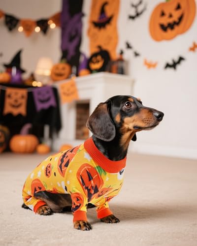 4 Pack Fleece Dog Pajamas Warm Halloween for Medium Dogs (Medium)