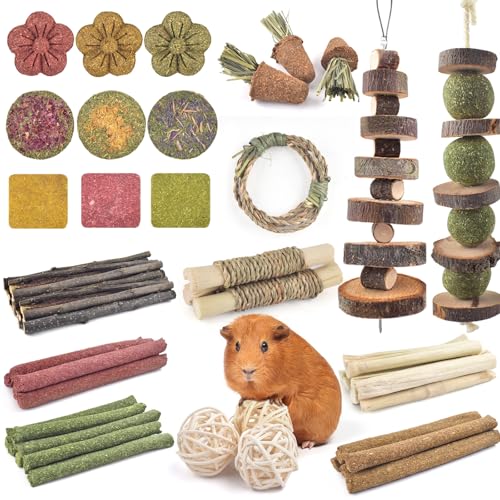 70PCS Rabbit Chew Toys (70)
