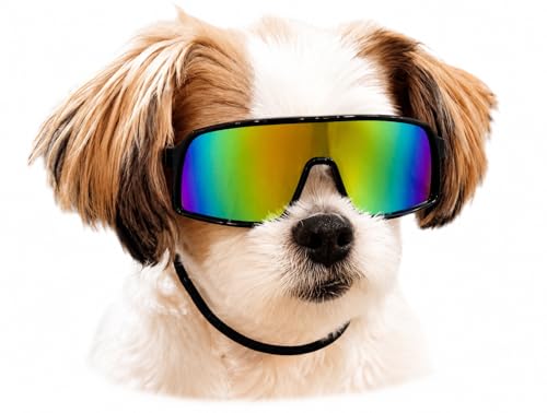 G029 Small Dog Breed 8 (S, 8-18lbs, Sport Turbo Black-rainbow mirror)