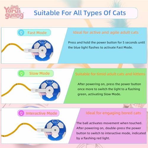 Cat Enrichment Toy (C -Blue)