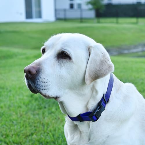 Biothane Waterproof Dog Collar with Quick Release Buckle Strong Coated Nylon Webbing with Odor (3/4"W by 12-19"L / Blueberry Royal)