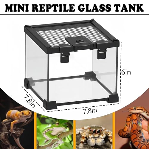 Mini Reptile Glass Terrarium Tank (1.69gal：7.9"L x 7.9"Wx 5.7"H)