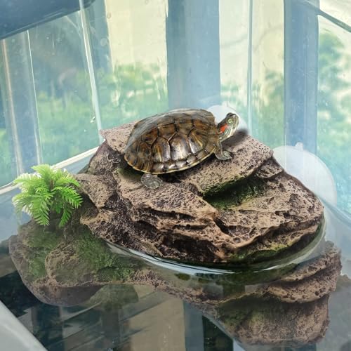 Turtle Basking Platform with Suction Cup (Slope)