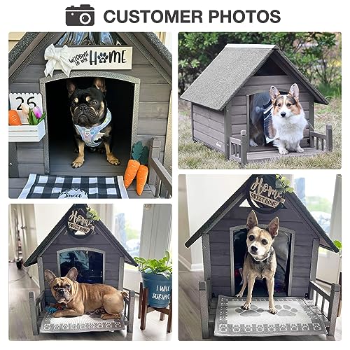 Dog House Outdoor Indoor All