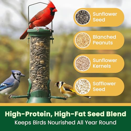 10LB Songbird Blend Bird Food (5 Pound (Pack of 2))