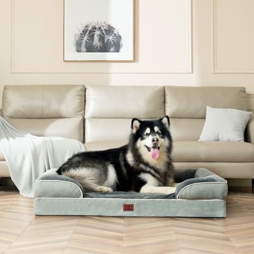 Orthopedic XXL Dog Bed (Greyish Green / 48.0"l X 35.0"w X 8.0"th)