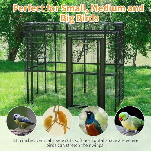 Extra Large Walk (Black / 86.6"L x 63.0"W x 81.5"H)
