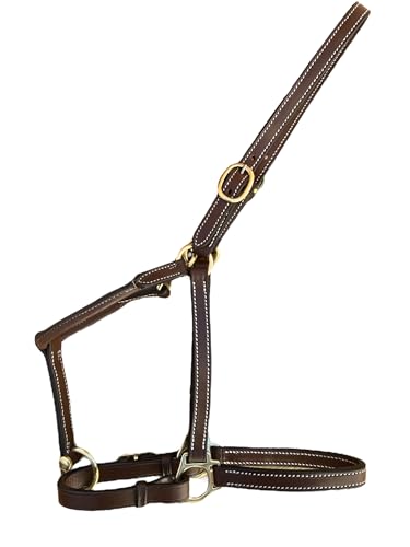 Leaders 3 4" Leather Halter for Horses with Customized Engraved Name Plate Brown Leather with Solid Brass Hardware (Yearling)