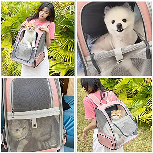 Innovative Traveler Bubble Backpack Pet Carriers for Cats and Dogs (Mesh Pink)