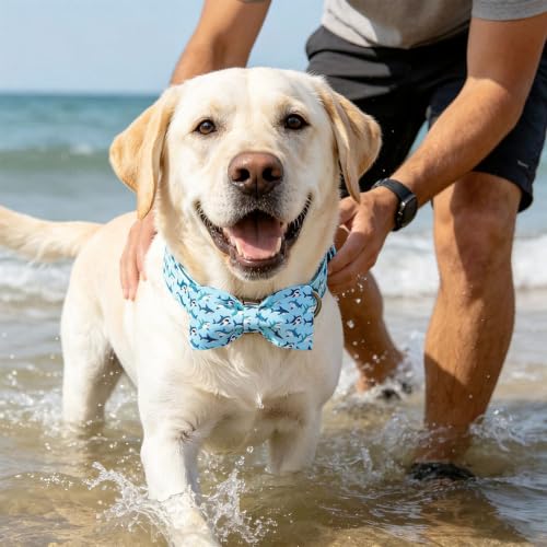 Dog Collar Boy Shark Print Dog Collar with Bow Tie (Summer Shark / Small (Pack of 1))