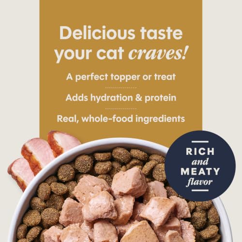 Healthy Cravings Wet Cat Toppers (3 Ounce (Pack of 24))
