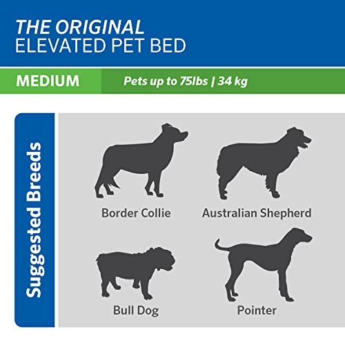 The Original Cooling Elevated Pet Bed (Medium Dog Bed / Brunswick Green (Pack of 1))