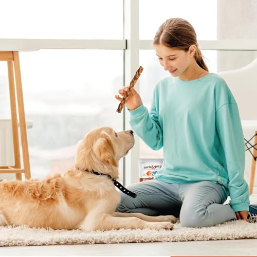 12" Braided Beef Collagen Sticks for Dogs (1 Count (Pack of 1))