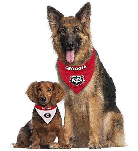 Collegiate Pet Accessories (Small/Medium / Georgia Bulldogs)