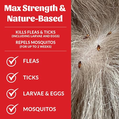 Natural Flea and Tick Dog and Home Spray (Flea & Tick Home Spray)