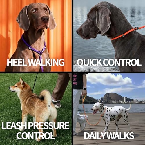 Dog Anti Slip Leash 5FT with Metal Stopper (Lake Blue / 5 FT)