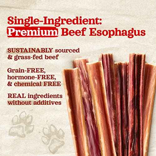 Gullet Sticks (6" Gullet - 50 Count)