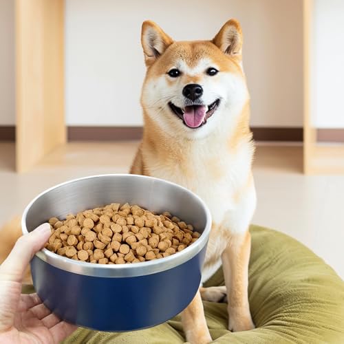 Stainless Steel Dog Bowls (Medium / Dark blue)