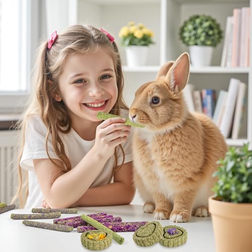 Timothy Hay Treats Rabbit Toys Bunny Guinea Pig Hamster Natural Chews for Teeth Handmade Rabbit Chews and Treats Chinchilla Rat Gerbil