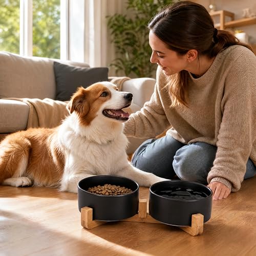 Ceramic Dog Cat Bowls Set with Stand (Black / 400ML*2)