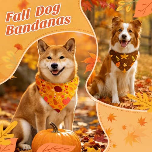 50 Pcs Fall Dog Bandanas Bulk Autumn Leaf Pumpkin Acorn Mushroom (Woodland Autumn / 25.6 x 17.7 x 17.7")