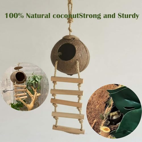 10PCS Crested Gecko Tank Accessories (one)