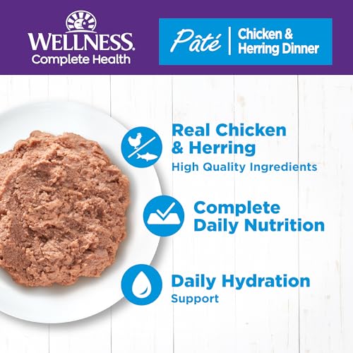 Complete Health Pate Adult Canned Wet Cat Food (5.5 Ounce (Pack of 24))