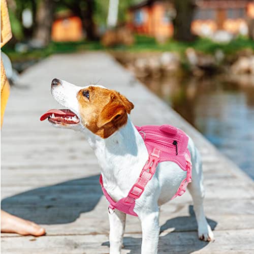 Dog Backpack Harness (Pink Pig / Small)