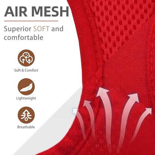 Dog Harness Collar and Leash Set No Pull for Small Medium Sized (Solid Red / S (CHEST 14.5"-16"))