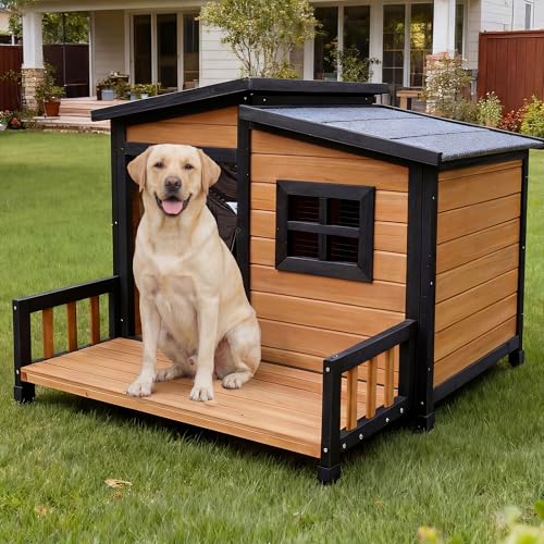 Large Outdoor Dog House W