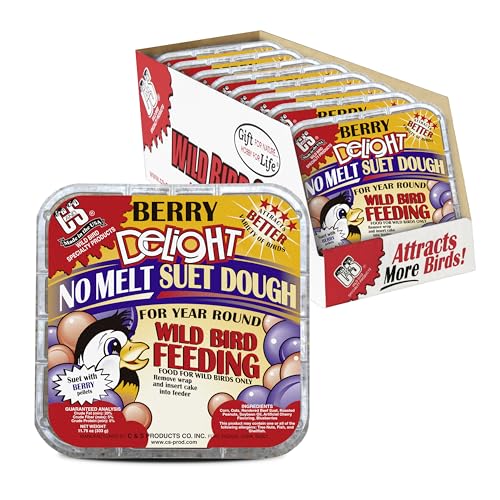 Berry Delight No Melt Suet Dough (1.47 Ounce (Pack of 8) / Berry, 8 Pack)