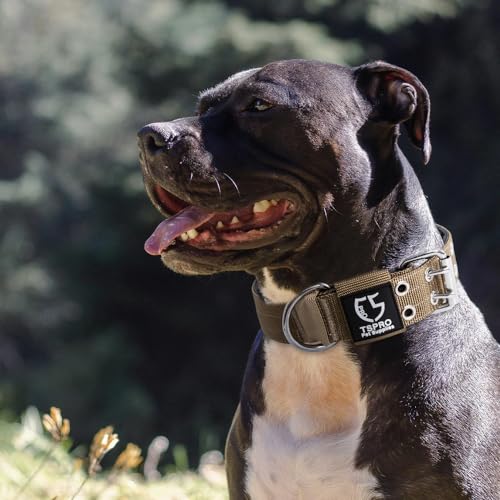 Heavy Duty Tactical Dog Collar with Patch (L/XL – Fits Neck 19.5"-23.5" / Basic Khaki)