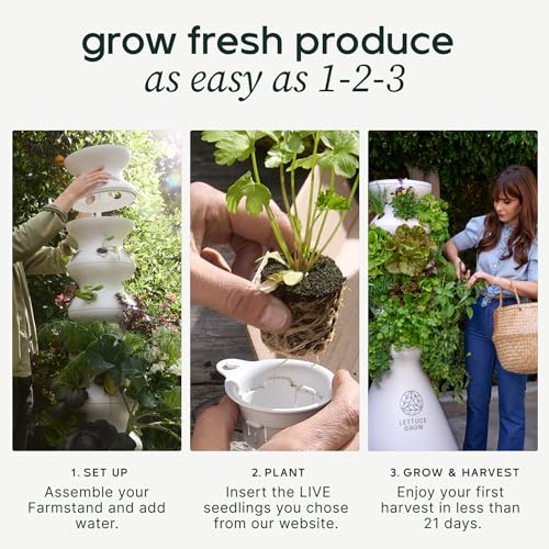 Farmstand Indoor Kit (12 Seedlings / Indoor With Seedlings)
