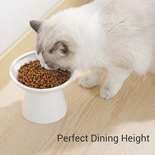 Extra Wide Elevated Ceramic 6.2" Shallow Cat Food Bowl (White-Shallow)