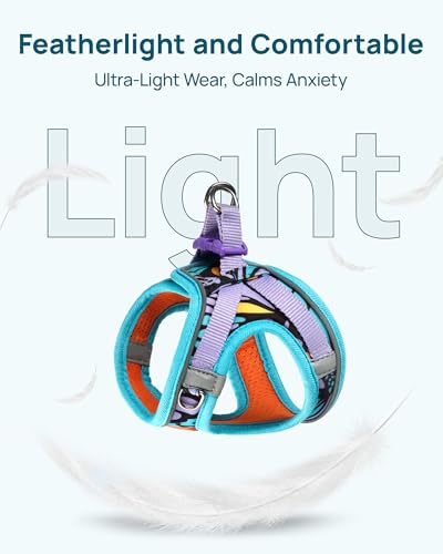Upgraded Cat Harness and Leash Set (Blue Butterfly Magic / XS)