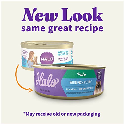 Pate Wet Cat Food