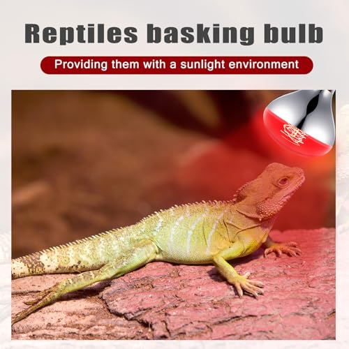 2 Pack Heat Lamp Bulbs 150 Watt (Red)