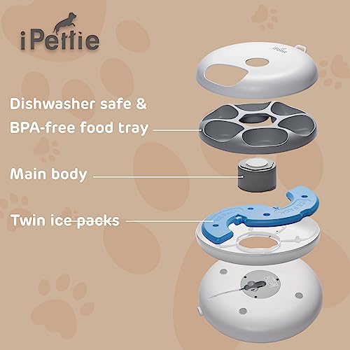 Donut Frost 6 Meal Cordless Automatic Pet Feeder with Two Ice Packs (Classic White)