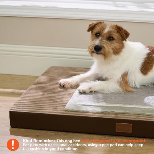 ComfyFleece Dog Bed Medium Size Dog with Washable Cover (29x18x2.8 / Coffee & Cream)