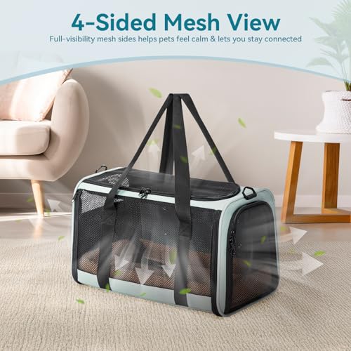 Large Cat Carrier with Patented Safety Buckles (19.0"L x 12.0"W x 12.0"H / Cyan blue)