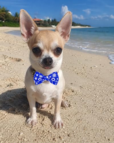 10 Pack Daily Dog Bowties for Small Dogs Sliding on Collar (S/M)
