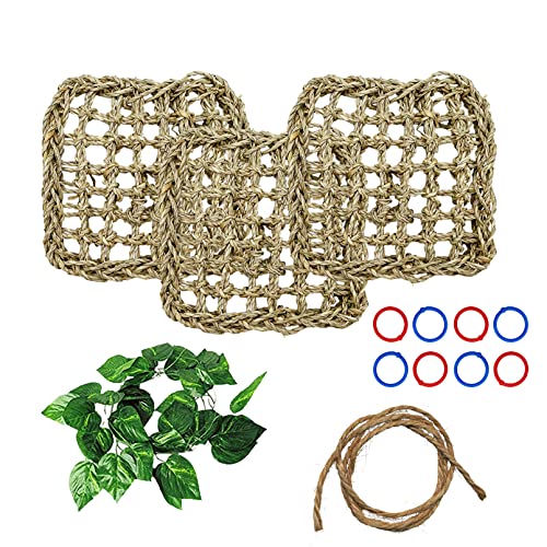 3 PCS Parrot Seagrass Mat
