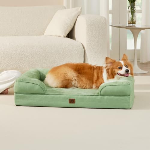 Orthopedic Dog Beds Large Sized Dog (Sage Green / 36.0"l X 27.0"w X 6.5"th)