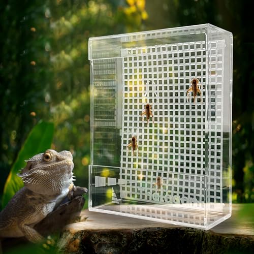 Bearded Dragon Feeder