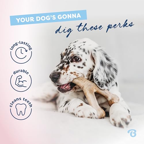 Puppy 2 Pack Rubber Bone (2 Pack)